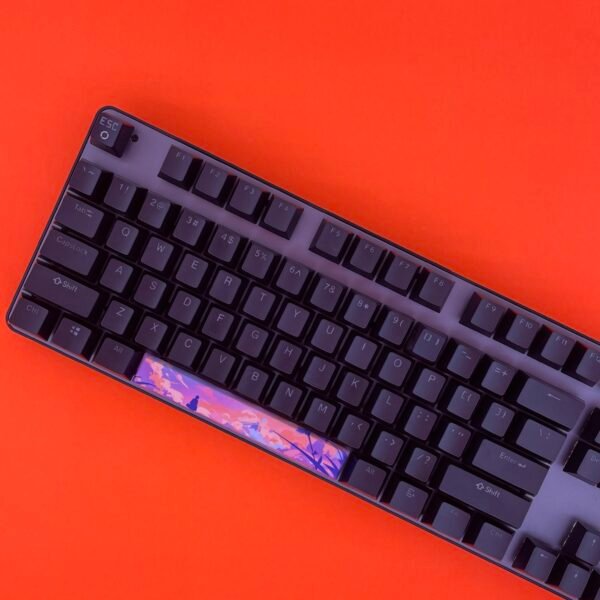 Pastel Dreams SpaceBar | Custom PBT keycaps for Mechanical keyboard | 6.25u OEM-Profile - Image 4