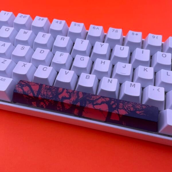 Dark Forest SpaceBar | Custom PBT keycaps for Mechanical keyboard | 6.25u OEM-Profile - Image 2