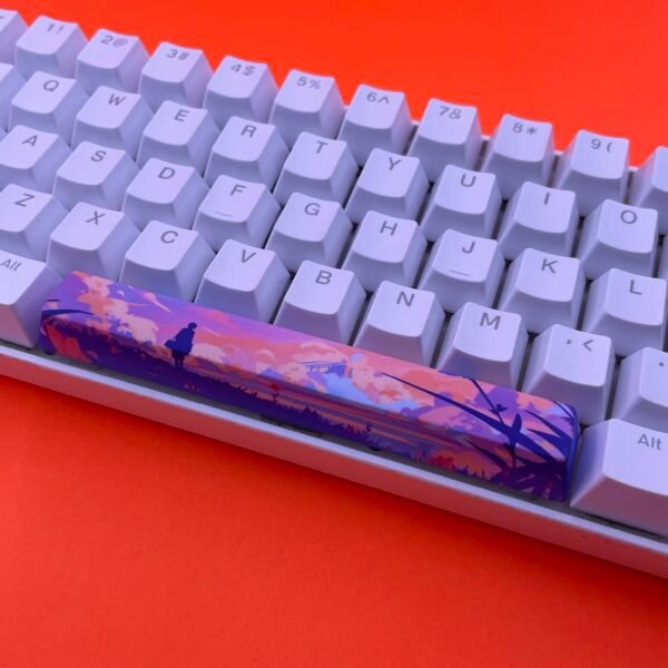 Pastel Dreams SpaceBar | Custom PBT keycaps for Mechanical keyboard | 6.25u OEM-Profile - Image 2
