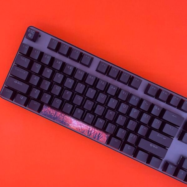 Cherry Blossom SpaceBar | Custom PBT keycaps for Mechanical keyboard | 6.25u OEM-Profile - Image 4