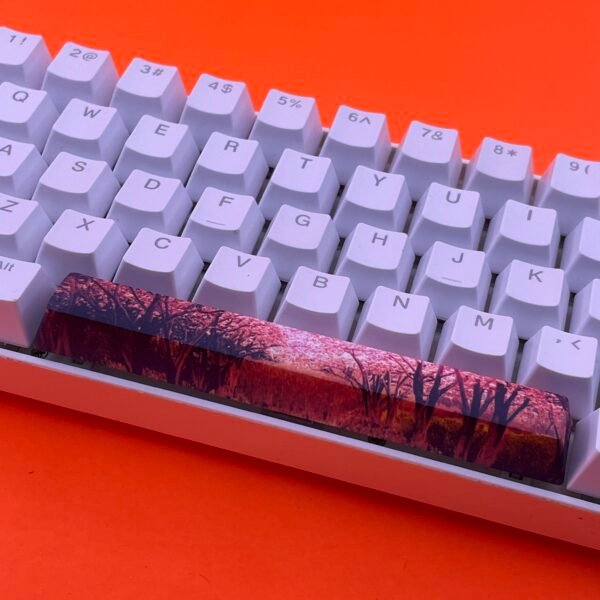 Cherry Blossom SpaceBar | Custom PBT keycaps for Mechanical keyboard | 6.25u OEM-Profile - Image 2